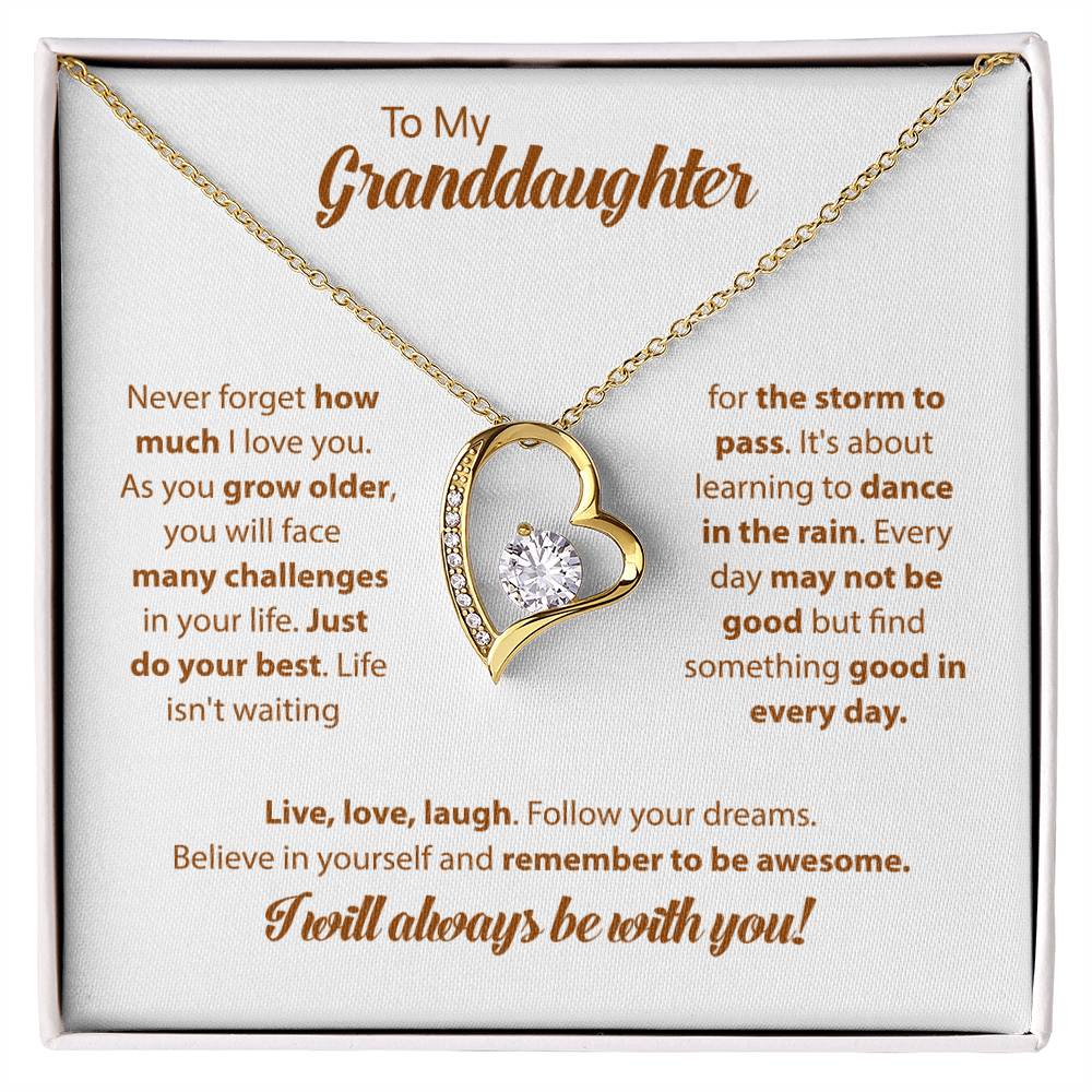 To My Granddaughter- Never forget how much I love you