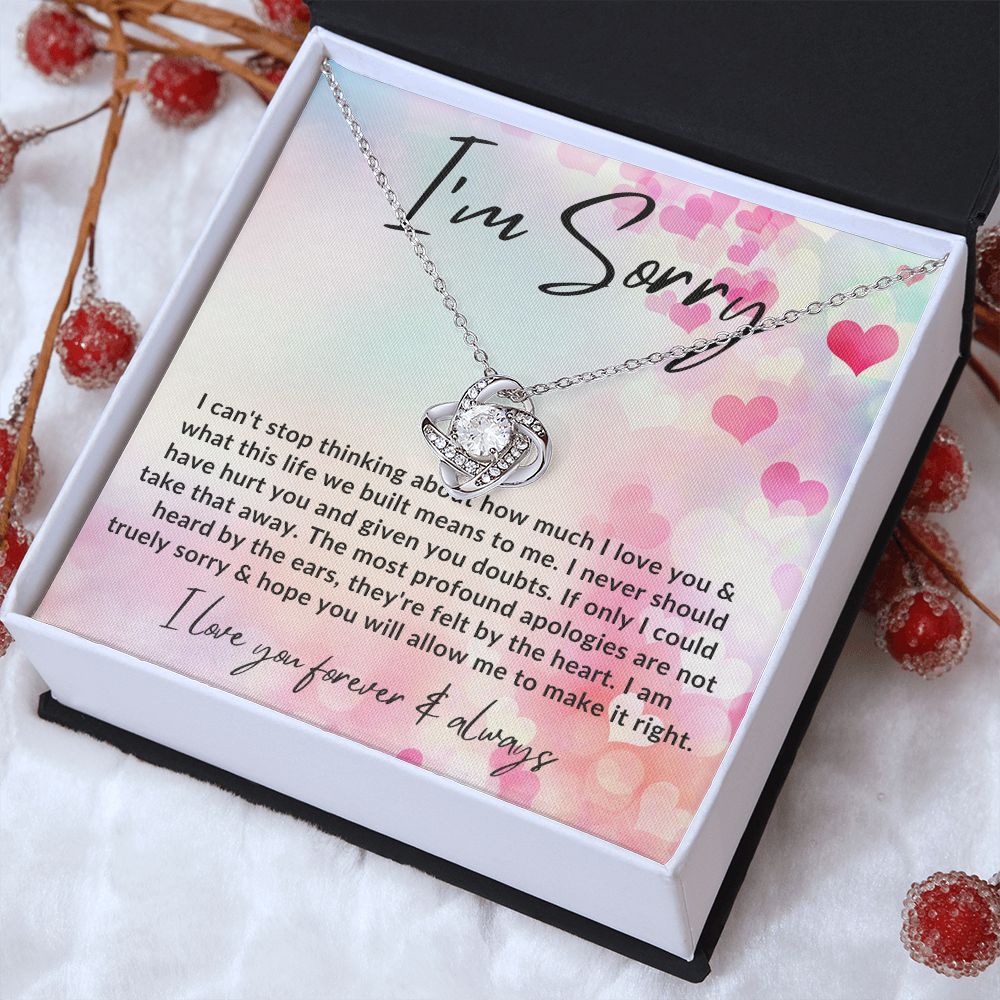 Best I Am Sorry Gift for Female Partner- Pure Silver Necklace Gift Set –  Fabunora